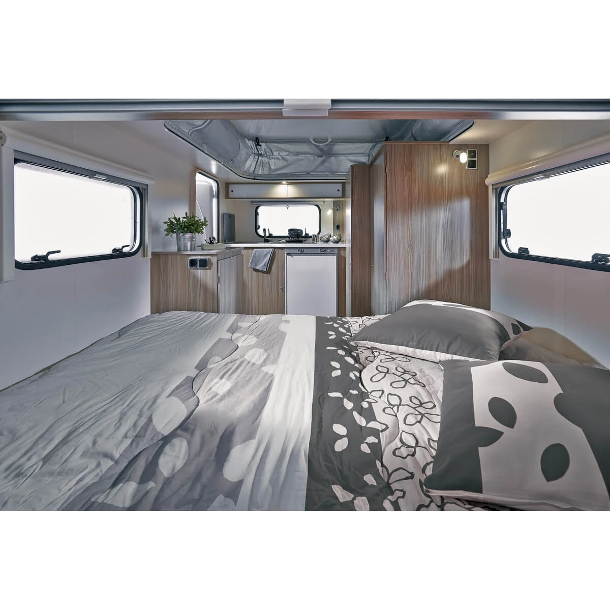 Polydon Savane 2 Polydon Savane – Image 2